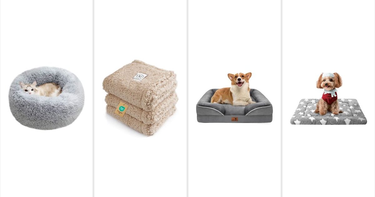 Featured image for 14 Cozy Pet Finds for Dogs and Cats at Home