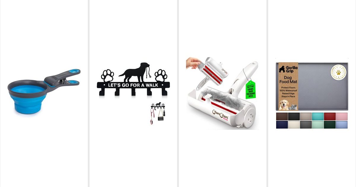 Featured image for 15 Small Pet Finds That Solve Annoying Everyday Problems