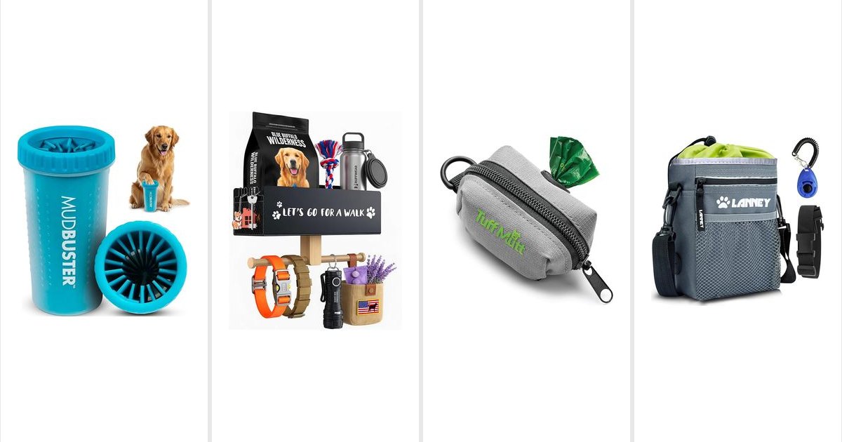 Featured image for 16 Dog Finds for Cleaner Floors and Easier Walks