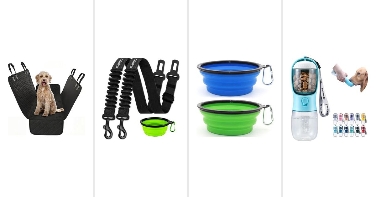 Featured image for 16 Travel and Car Finds for Pet Owners