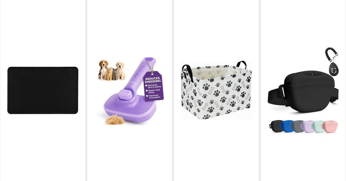 Featured image for 17 Budget-Friendly Pet Finds Worth Saving